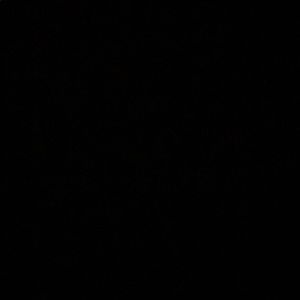 Meet your Posher, Dylan